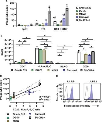 Dual checkpoint blockade of CD47 and LILRB1 enhances CD20 antibody-dependent phagocytosis of lymphoma cells by macrophages